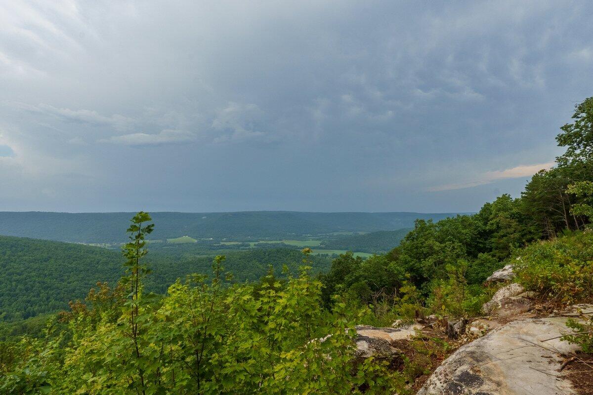 000 Crockett Point #170, Jasper, Tennessee image 1