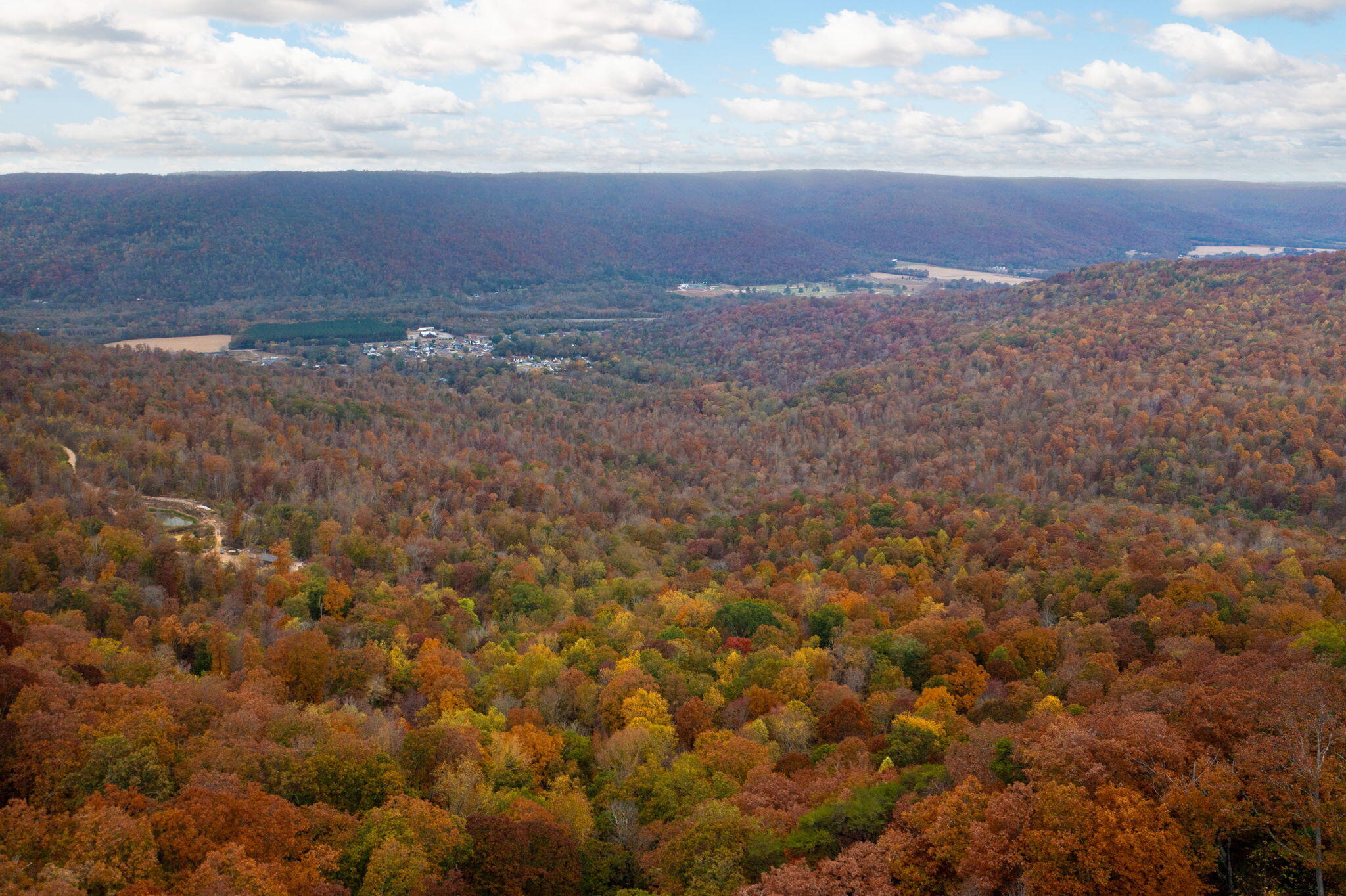 464 Moonlight Lane, Jasper, Tennessee image 32