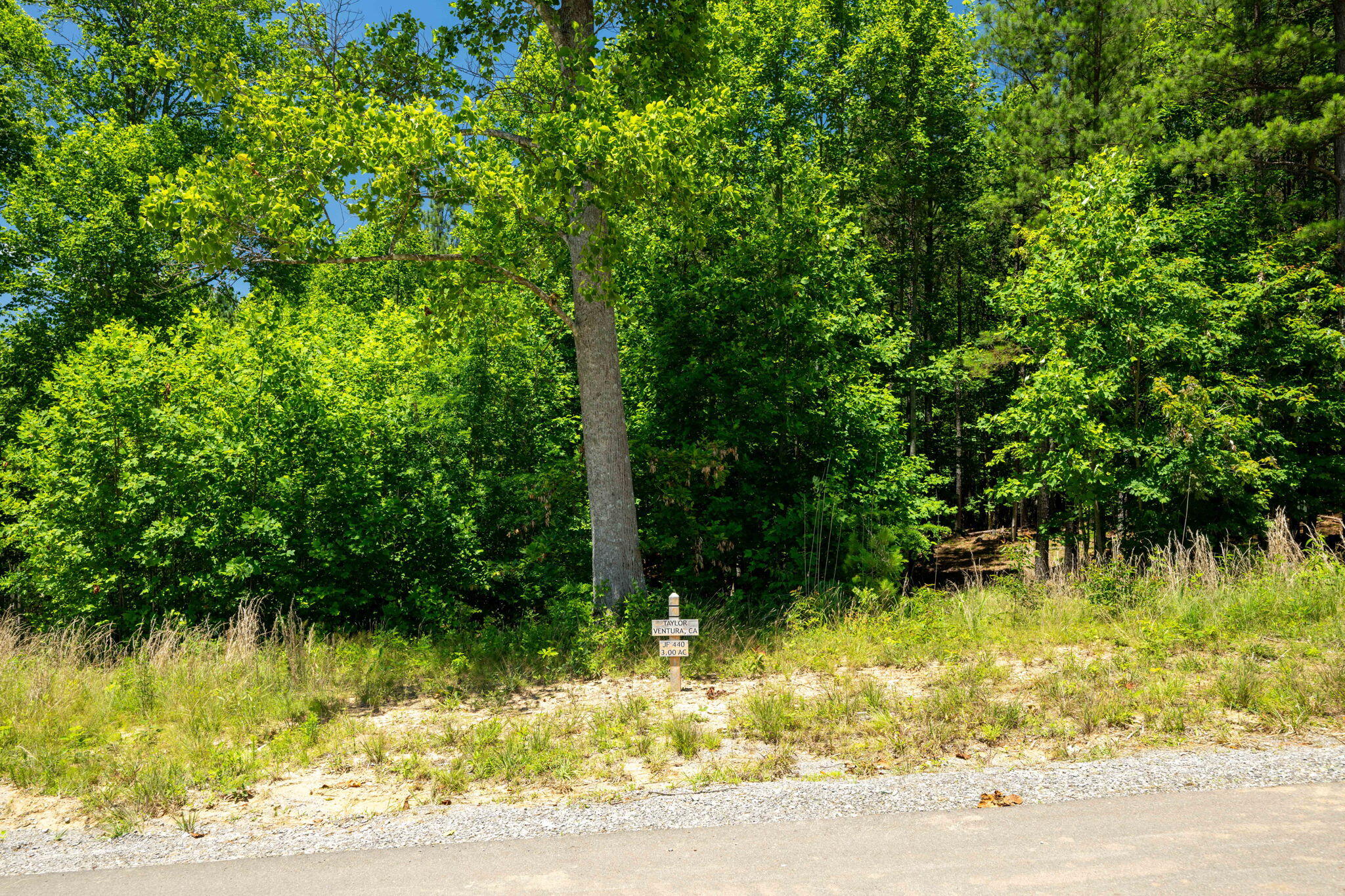 464 Moonlight Lane, Jasper, Tennessee image 3