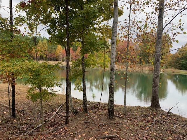 464 Moonlight Lane, Jasper, Tennessee image 7