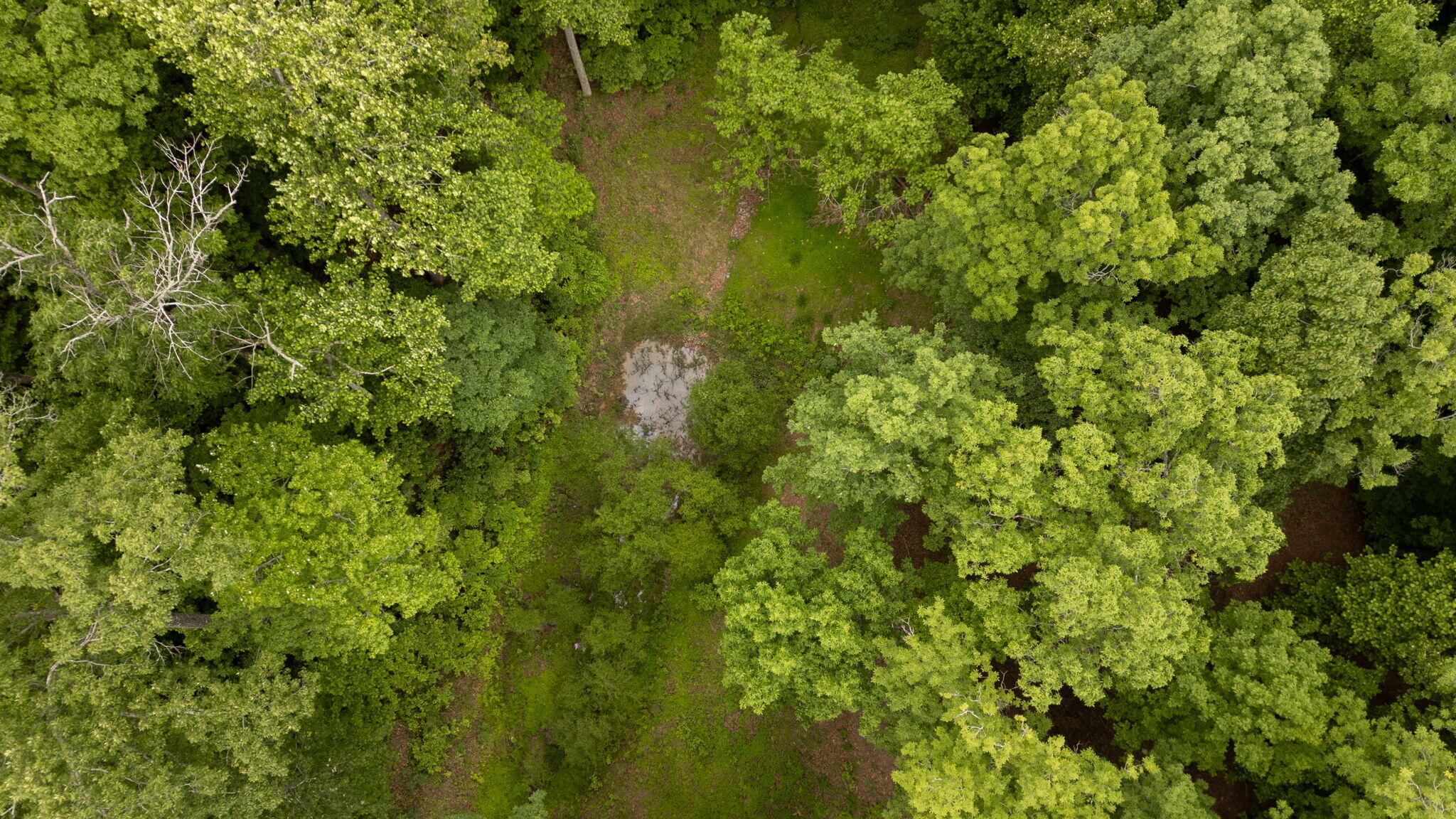 135 Tremolat Lane #LOT 14, Cleveland, Tennessee image 6
