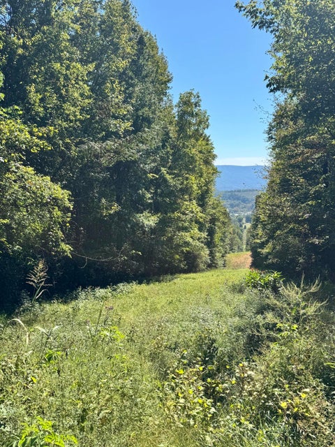 Photo of 00 Mountain View Drive, Whitwell, TN 37397 (MLS # 1544450)