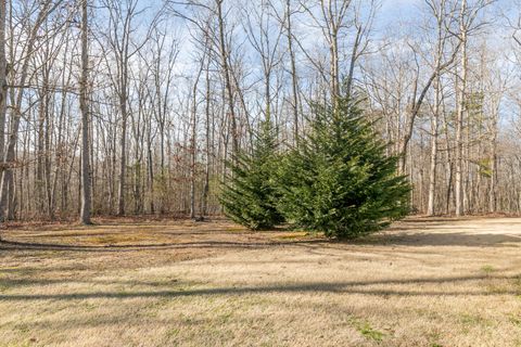 Tiny photo for 257 Wild Acres Lane, Rising Fawn, GA 30738 (MLS # 1528680)