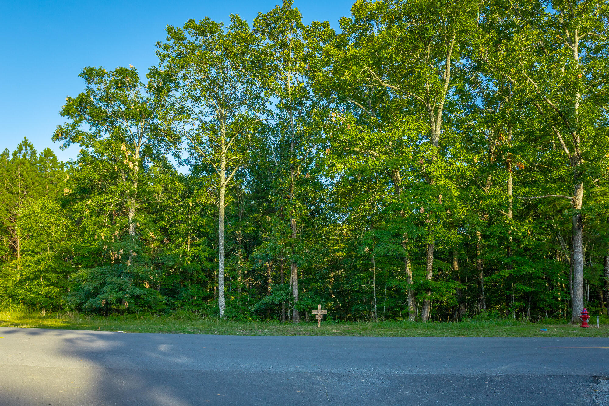 Moonlight Lane #JF426, Jasper, Tennessee image 45