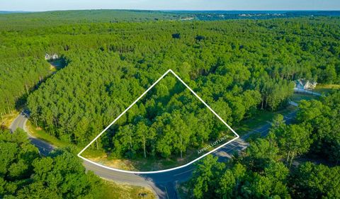 Photo of 0 Moonlight Lane, Jasper, TN 37347 (MLS # 1394597)
