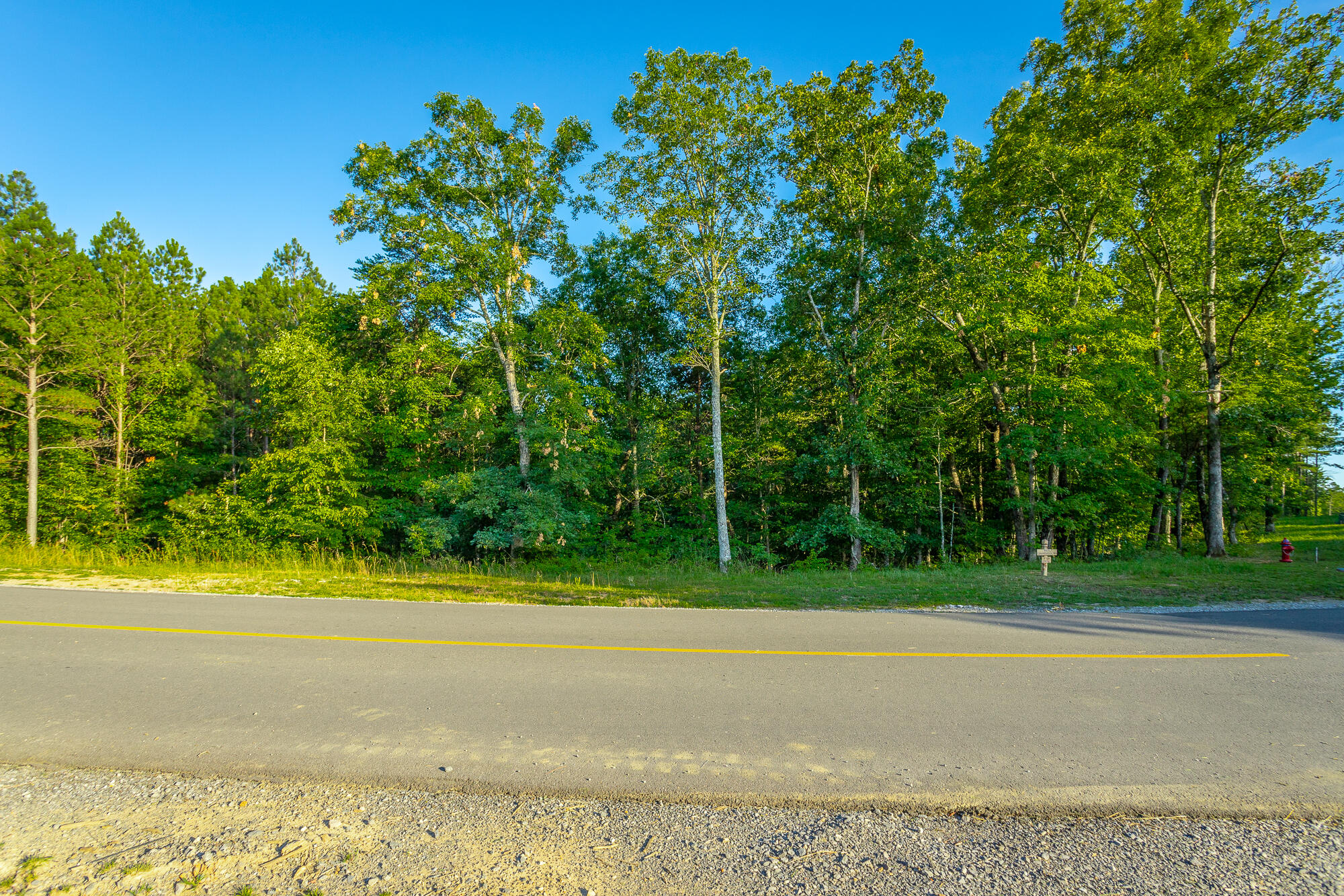 Moonlight Lane #JF426, Jasper, Tennessee image 48