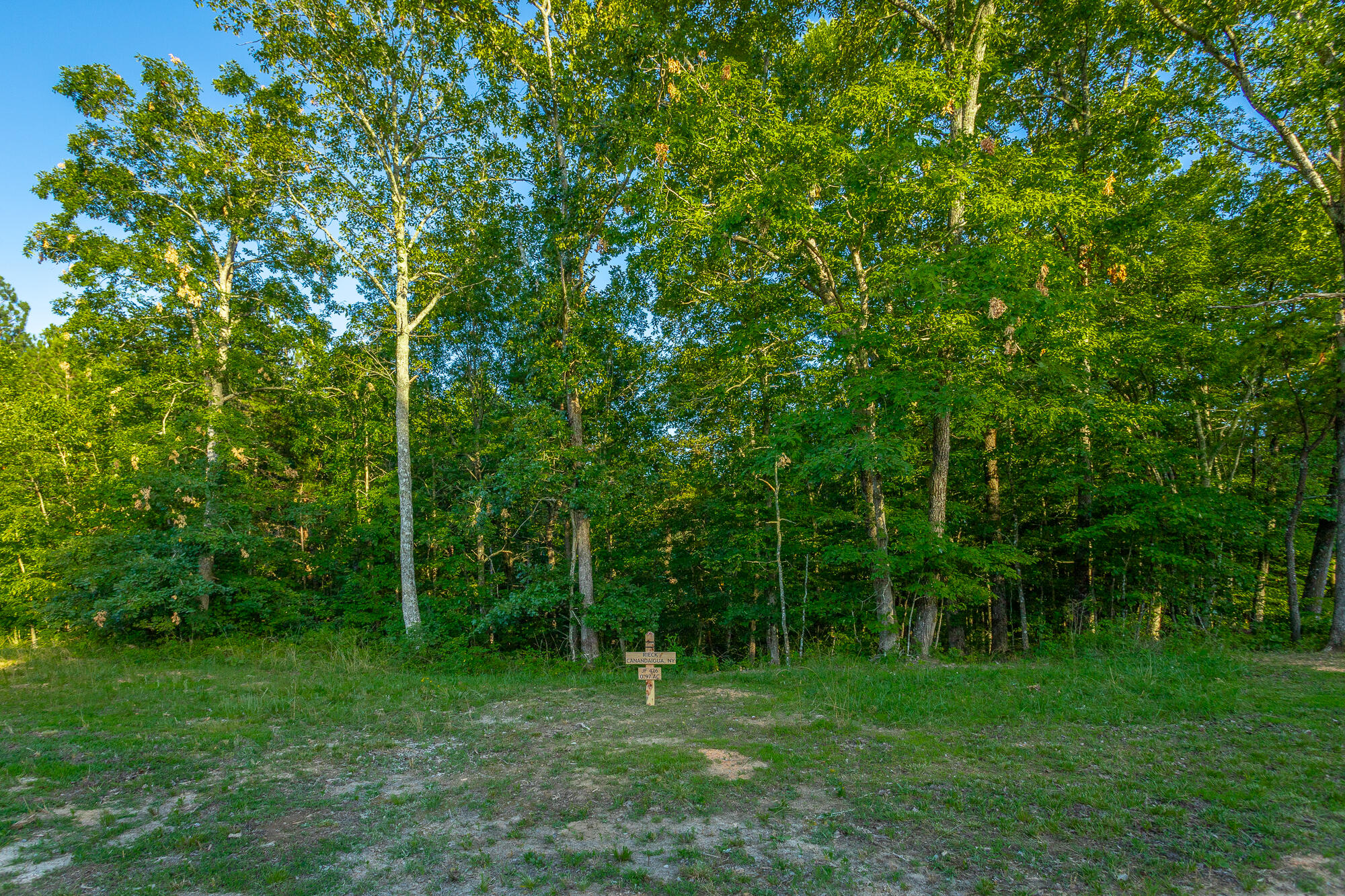 Moonlight Lane #JF426, Jasper, Tennessee image 47