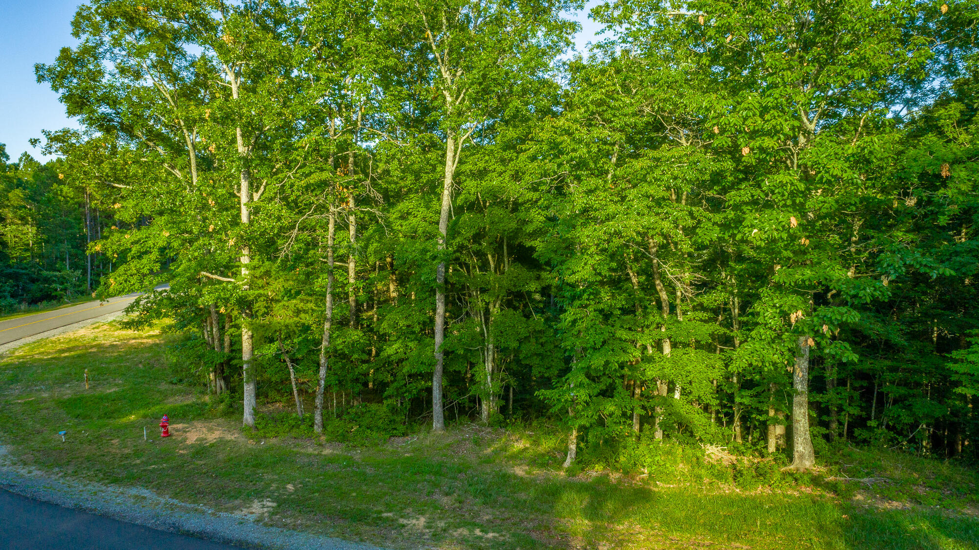 Moonlight Lane #JF426, Jasper, Tennessee image 6
