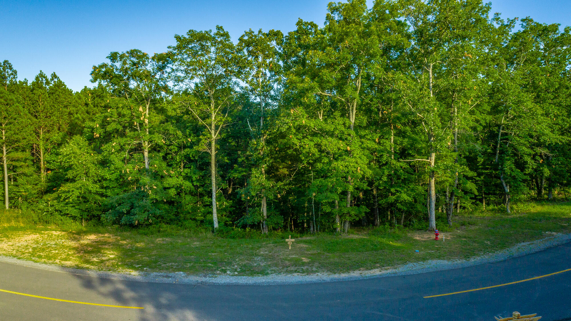 Moonlight Lane #JF426, Jasper, Tennessee image 3