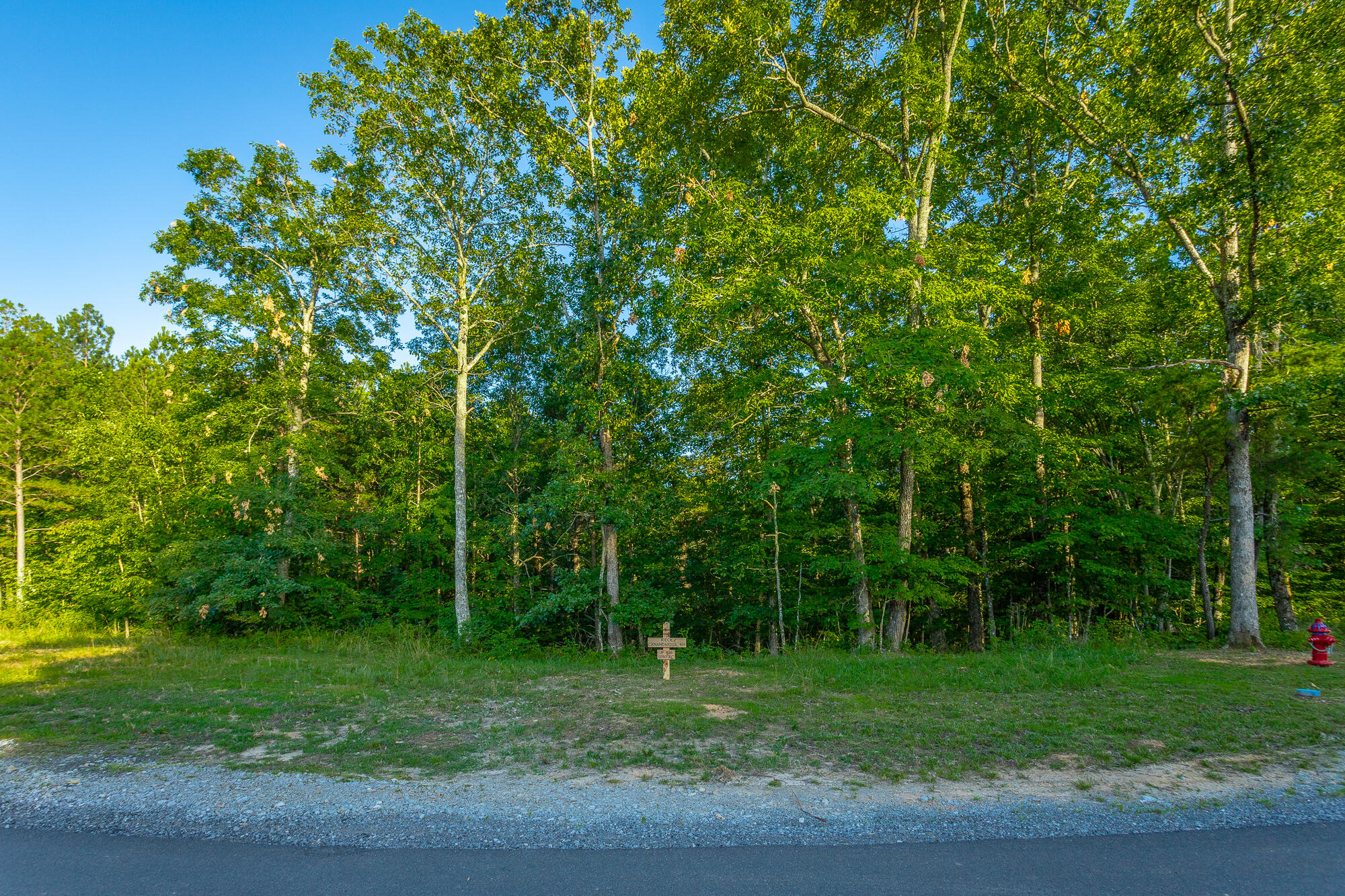 Moonlight Lane #JF426, Jasper, Tennessee image 46