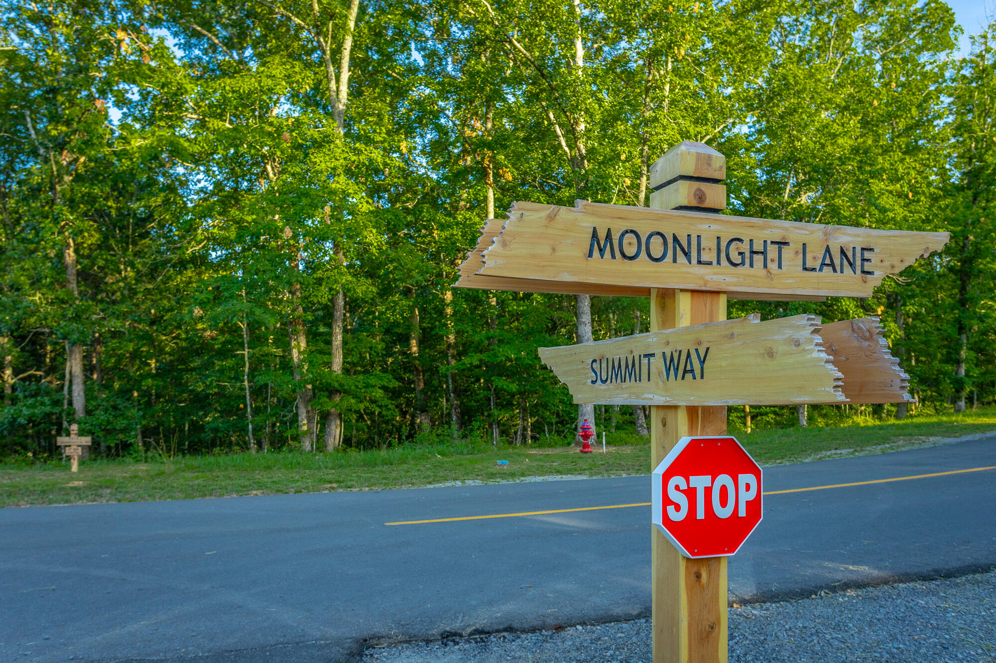 Moonlight Lane #JF426, Jasper, Tennessee image 43