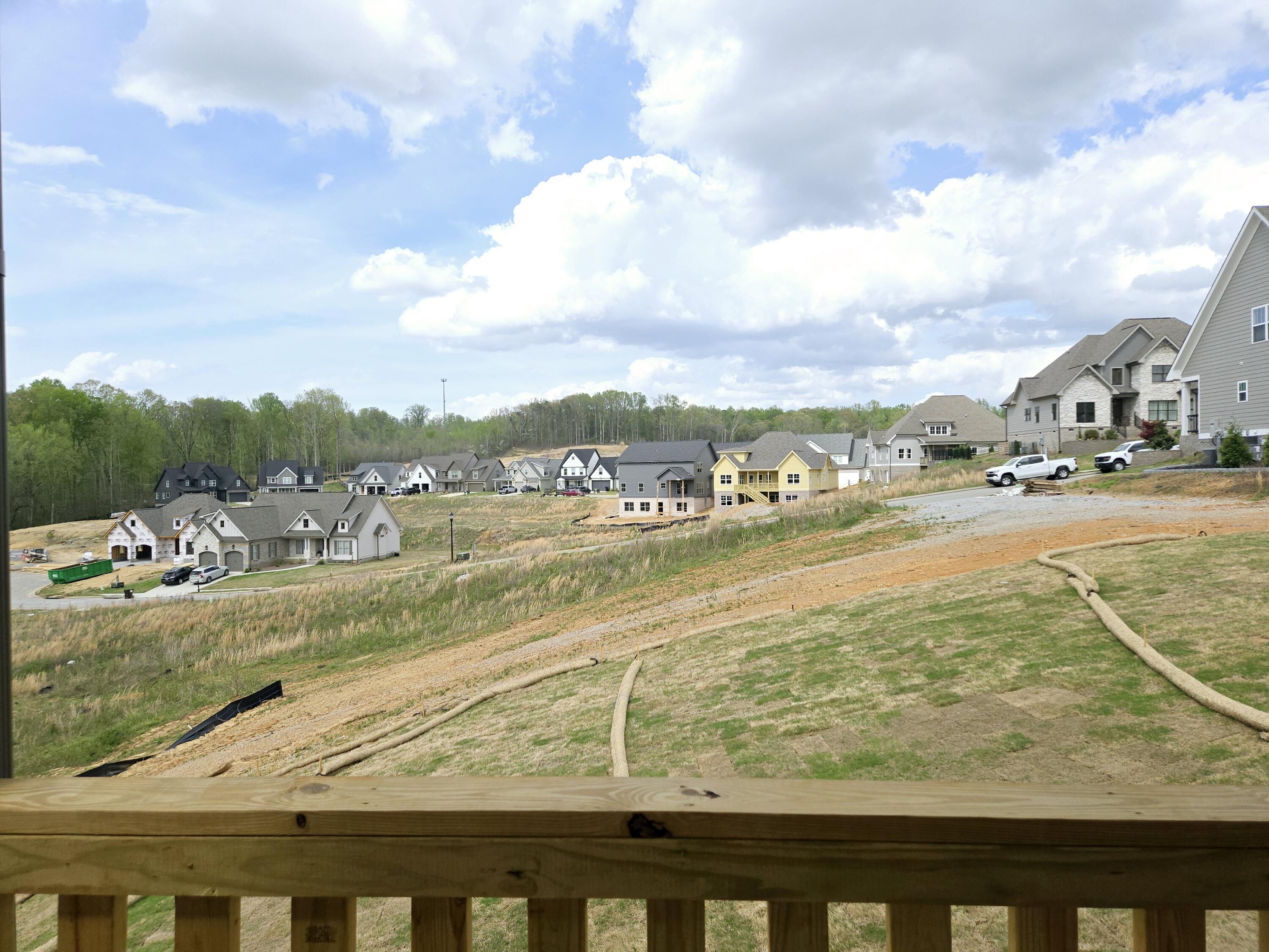 10613 Kavya Lane #89, Apison, Tennessee image 49