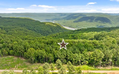 Tiny photo for Lot 1205 Big View Road, Guild, TN 37340 (MLS # 1517852)