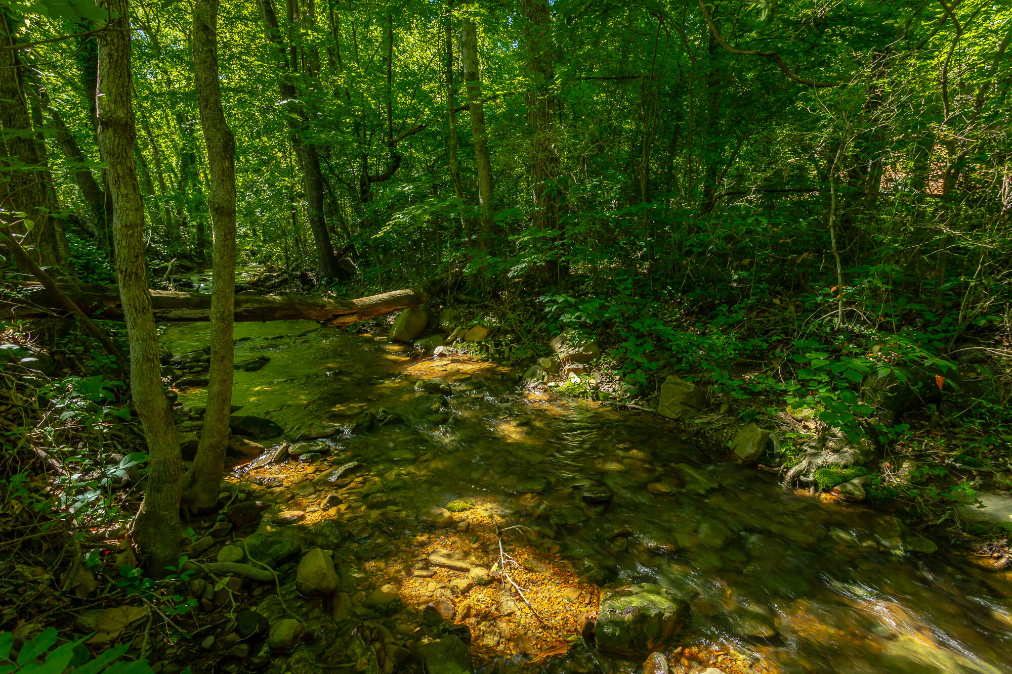 117 Westbrook Avenue, Soddy Daisy, Tennessee image 43