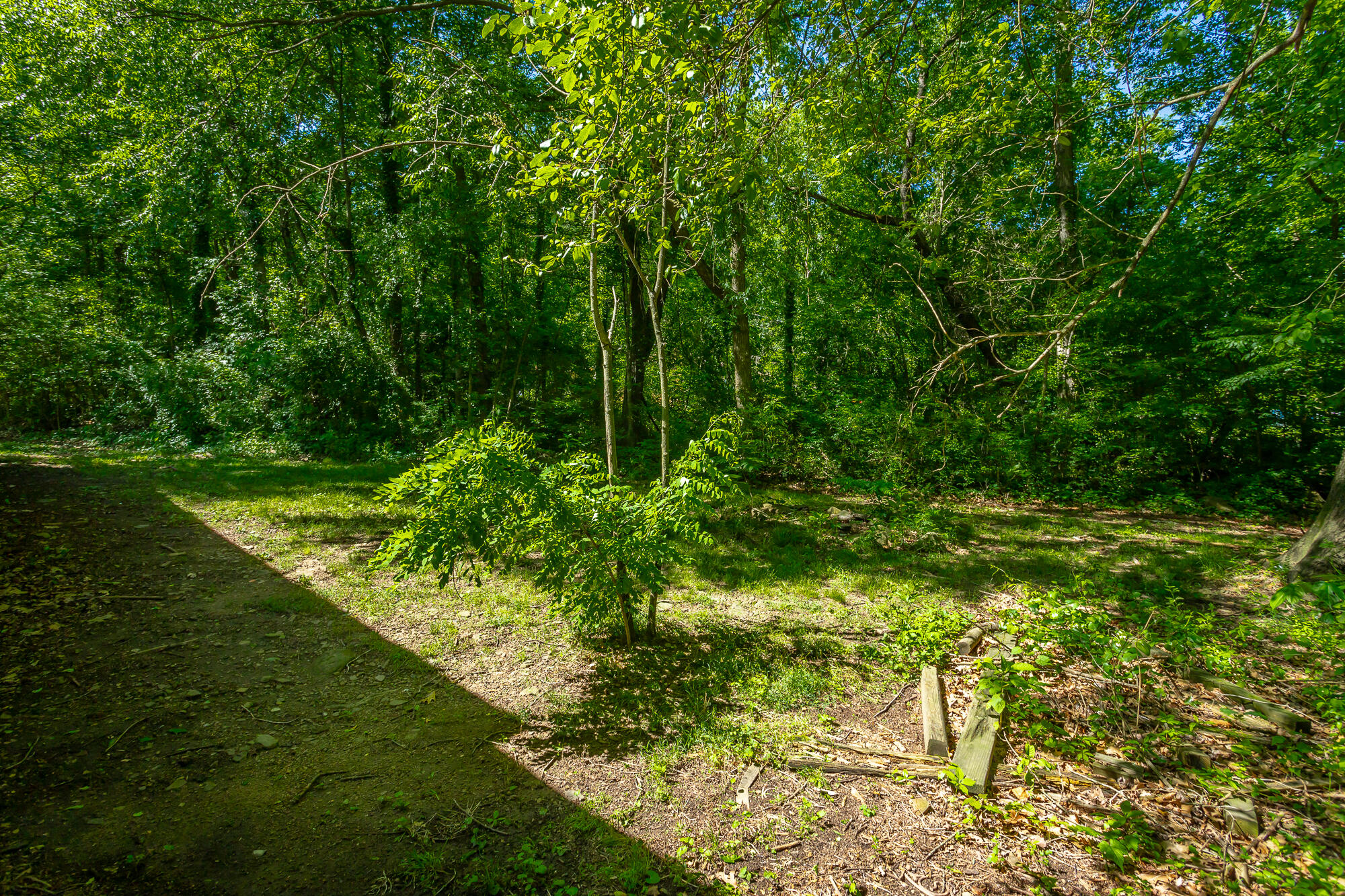 117 Westbrook Avenue, Soddy Daisy, Tennessee image 41