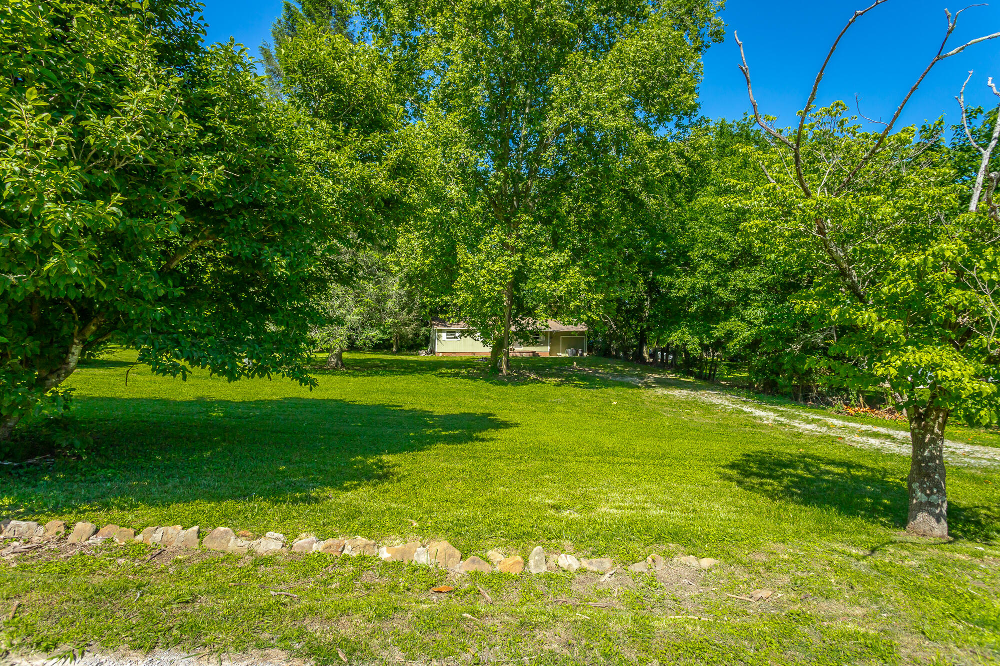 117 Westbrook Avenue, Soddy Daisy, Tennessee image 31