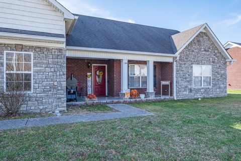Tiny photo for 118 Hamilton Court, Manchester, TN 37355 (MLS # 1528213)