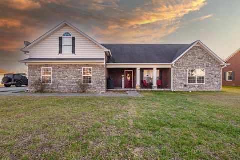 Photo of 118 Hamilton Court, Manchester, TN 37355 (MLS # 1528213)