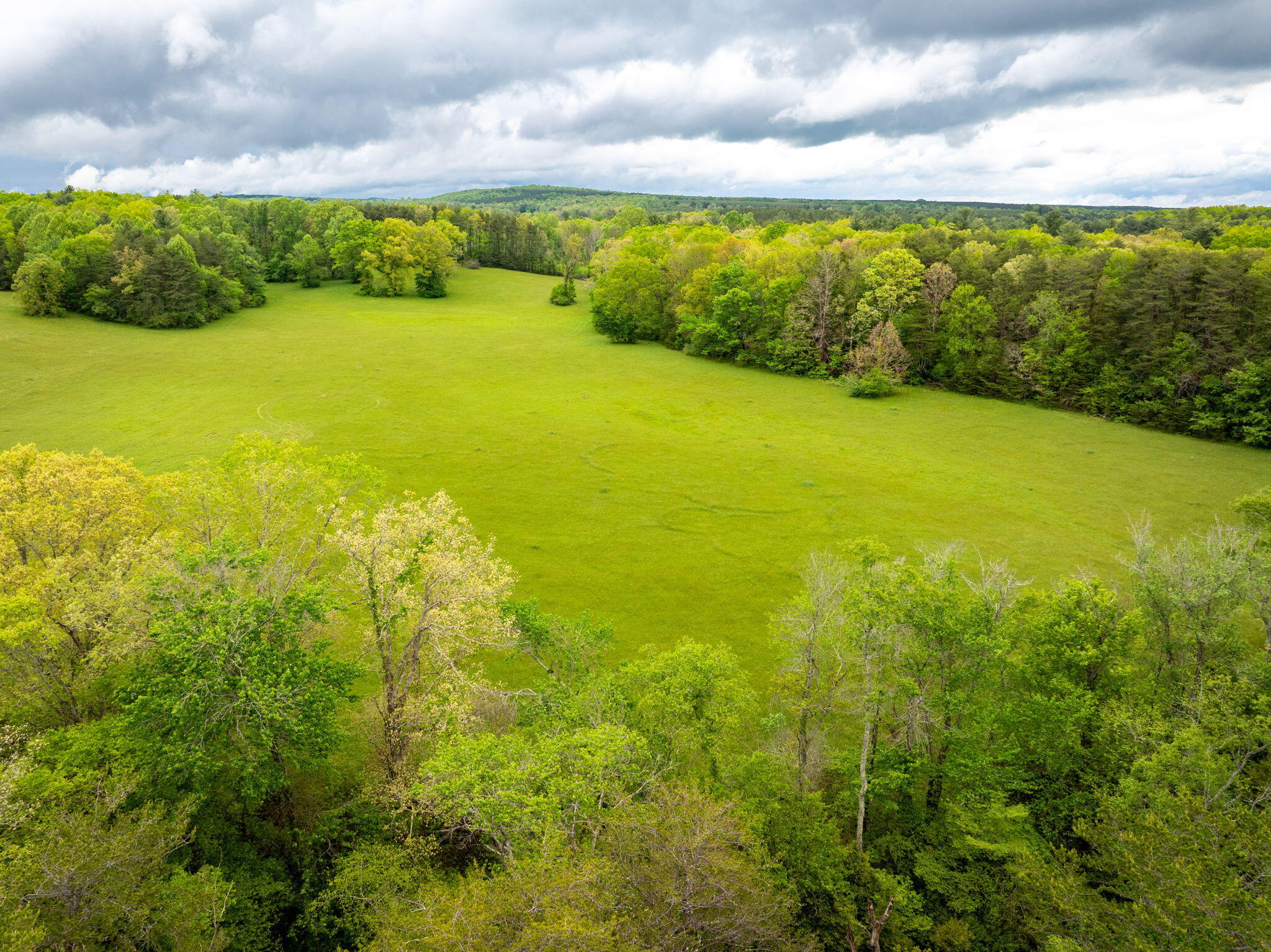 Blaine Smith Road #TRACT 10, Graysville, Tennessee image 3