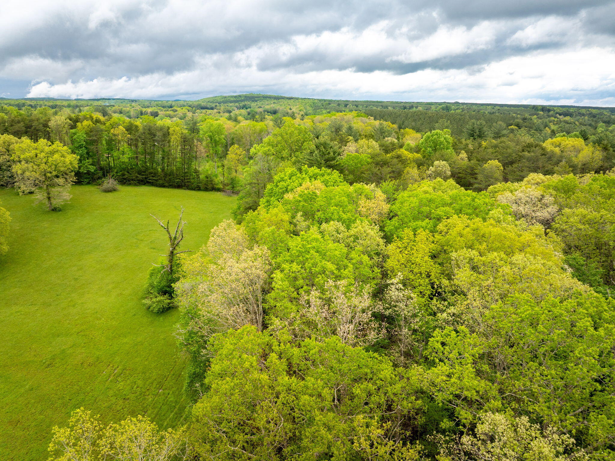Blaine Smith Road #TRACT 10, Graysville, Tennessee image 6