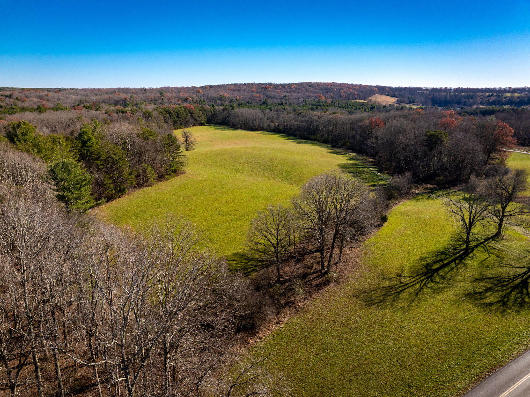 Blaine Smith Road #TRACT 10, Graysville, Tennessee image 8