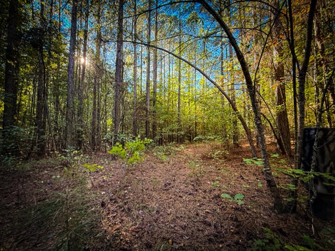 Photo of 247 Hotwater Road, Soddy Daisy, TN 37379 (MLS # 1545435)