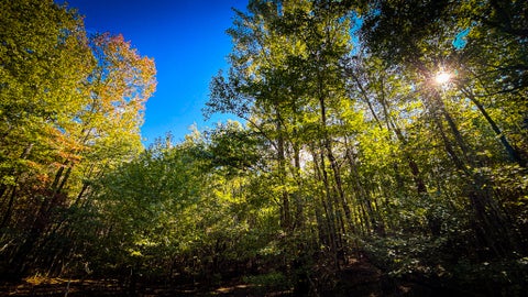 Photo of 3199 Young Road, Soddy Daisy, TN 37379 (MLS # 1545433)