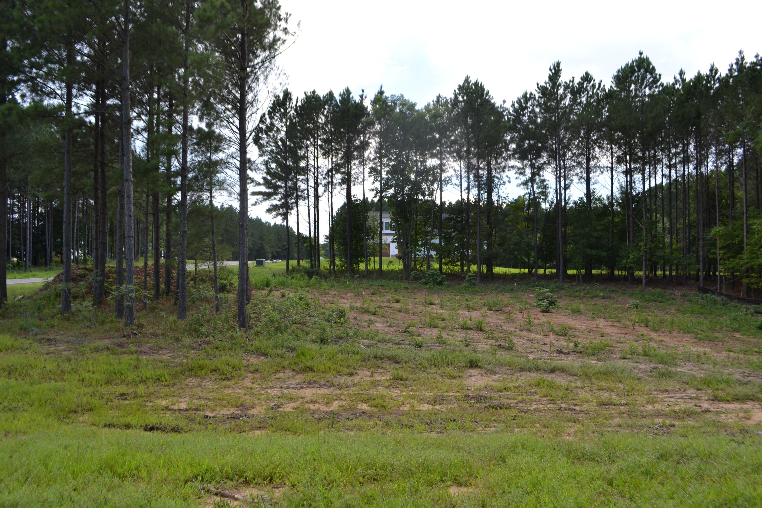 125 Wilderness Drive #187, Jasper, Tennessee image 1