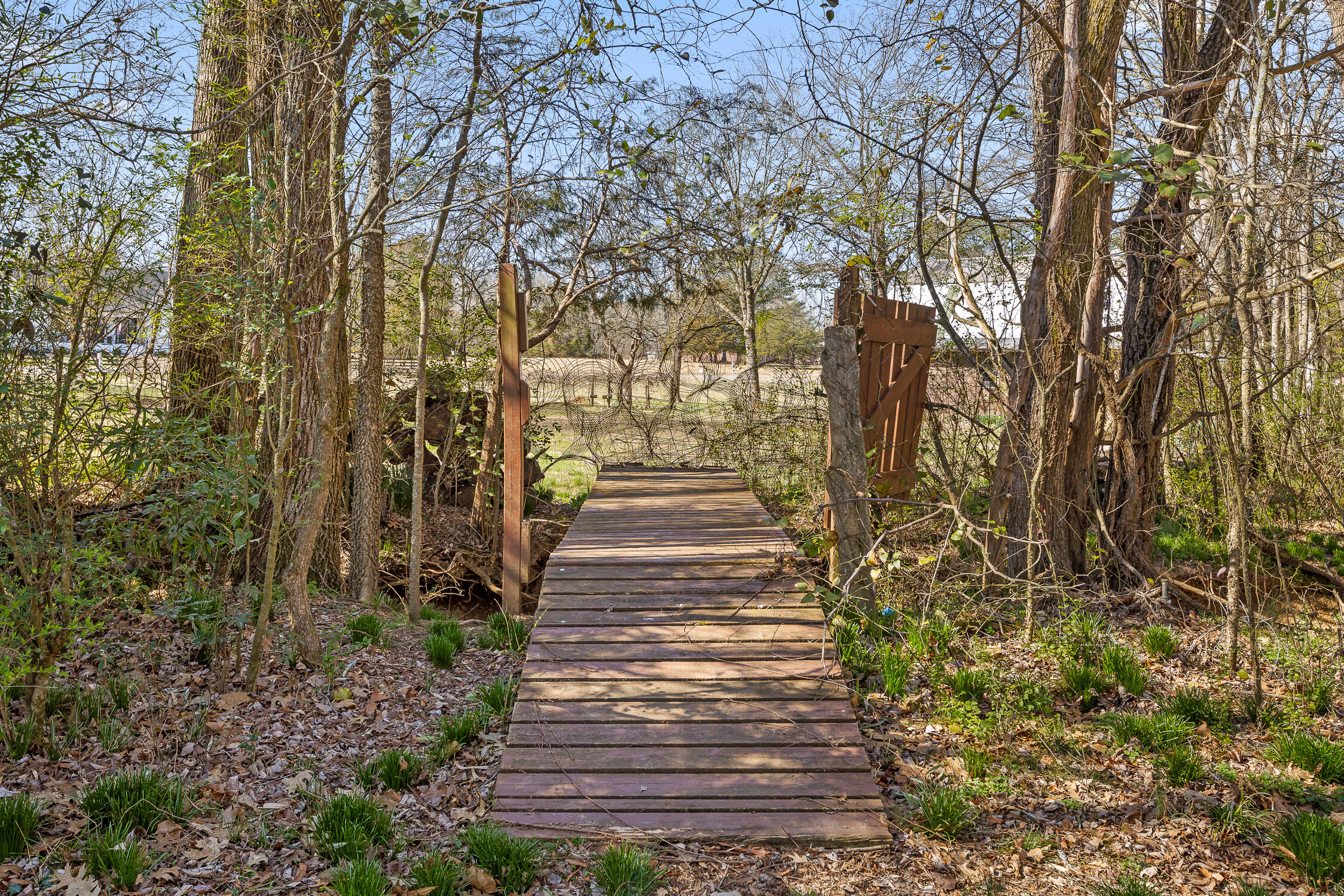 7101 Goldenrod Court, Ooltewah, Tennessee image 15