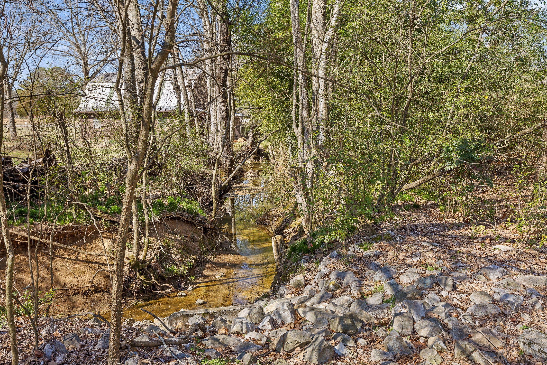 7101 Goldenrod Court, Ooltewah, Tennessee image 13