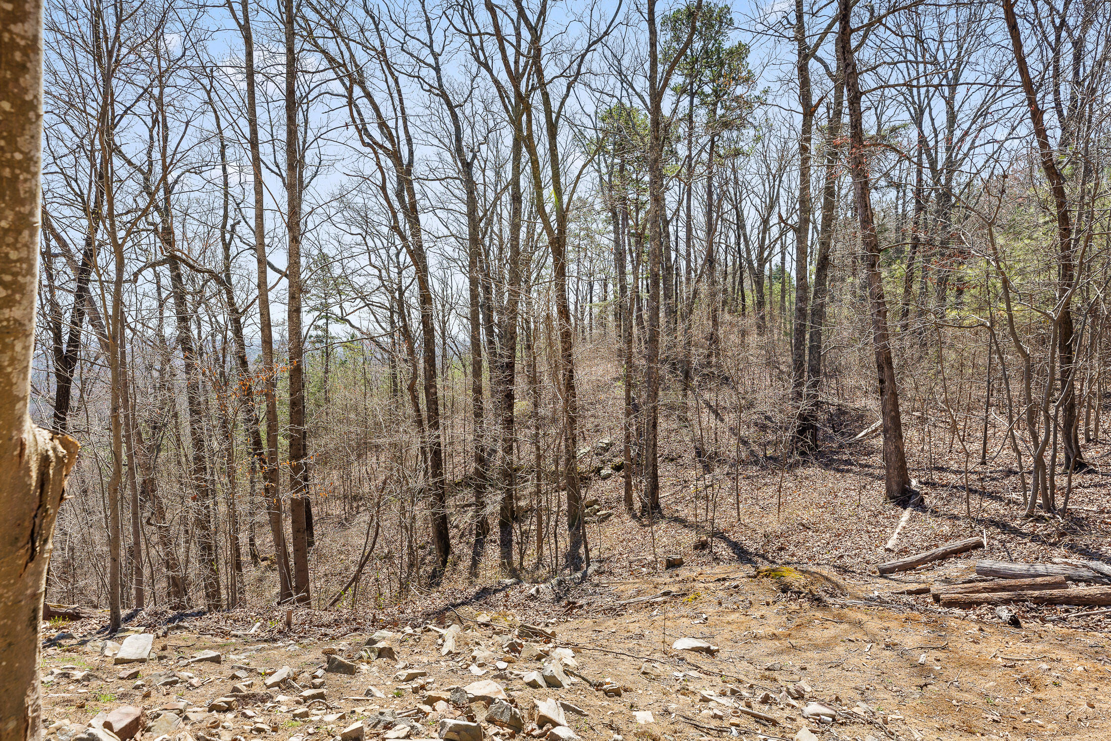 2345 County Road 865, Gaylesville, Alabama image 39