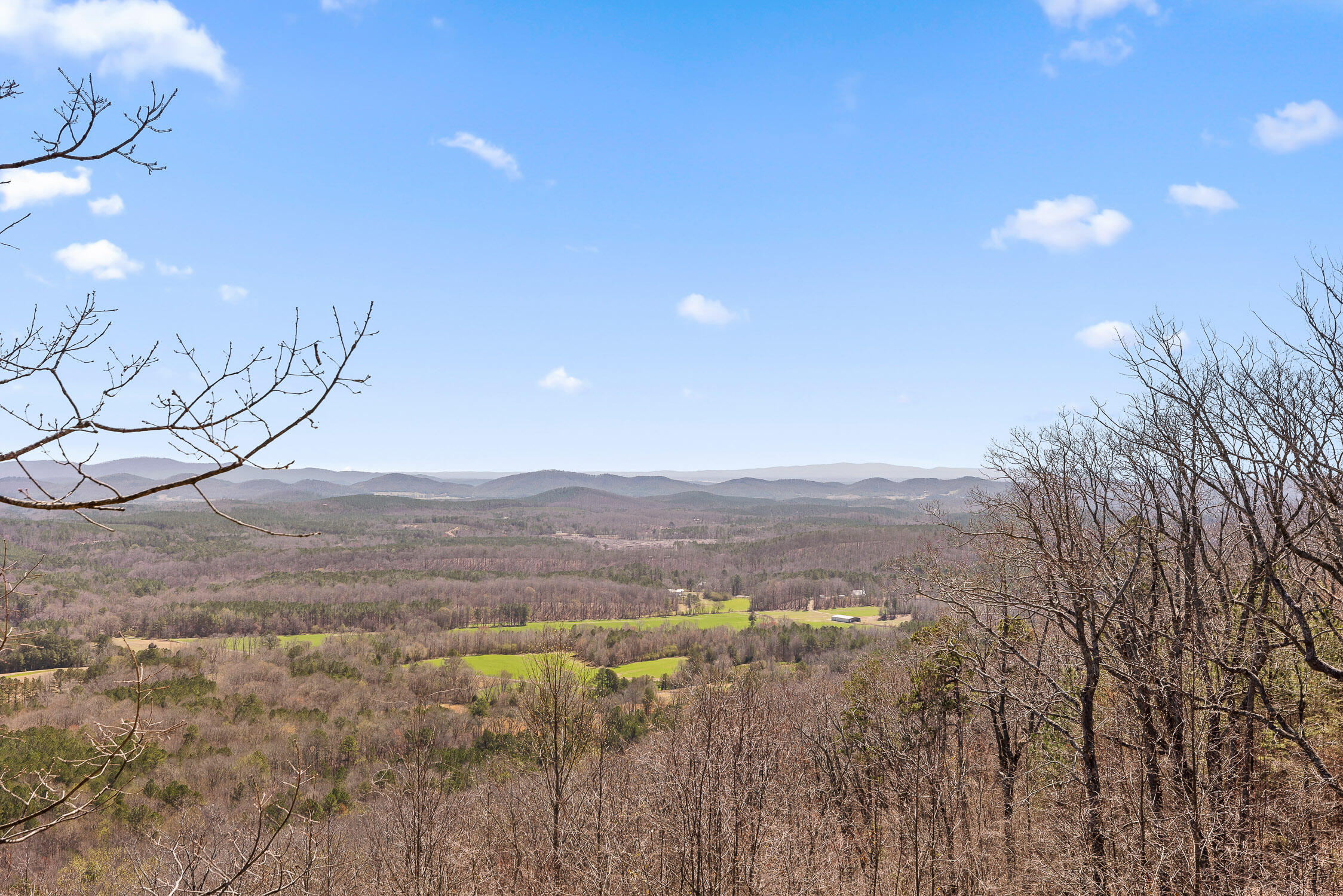 2345 County Road 865, Gaylesville, Alabama image 9