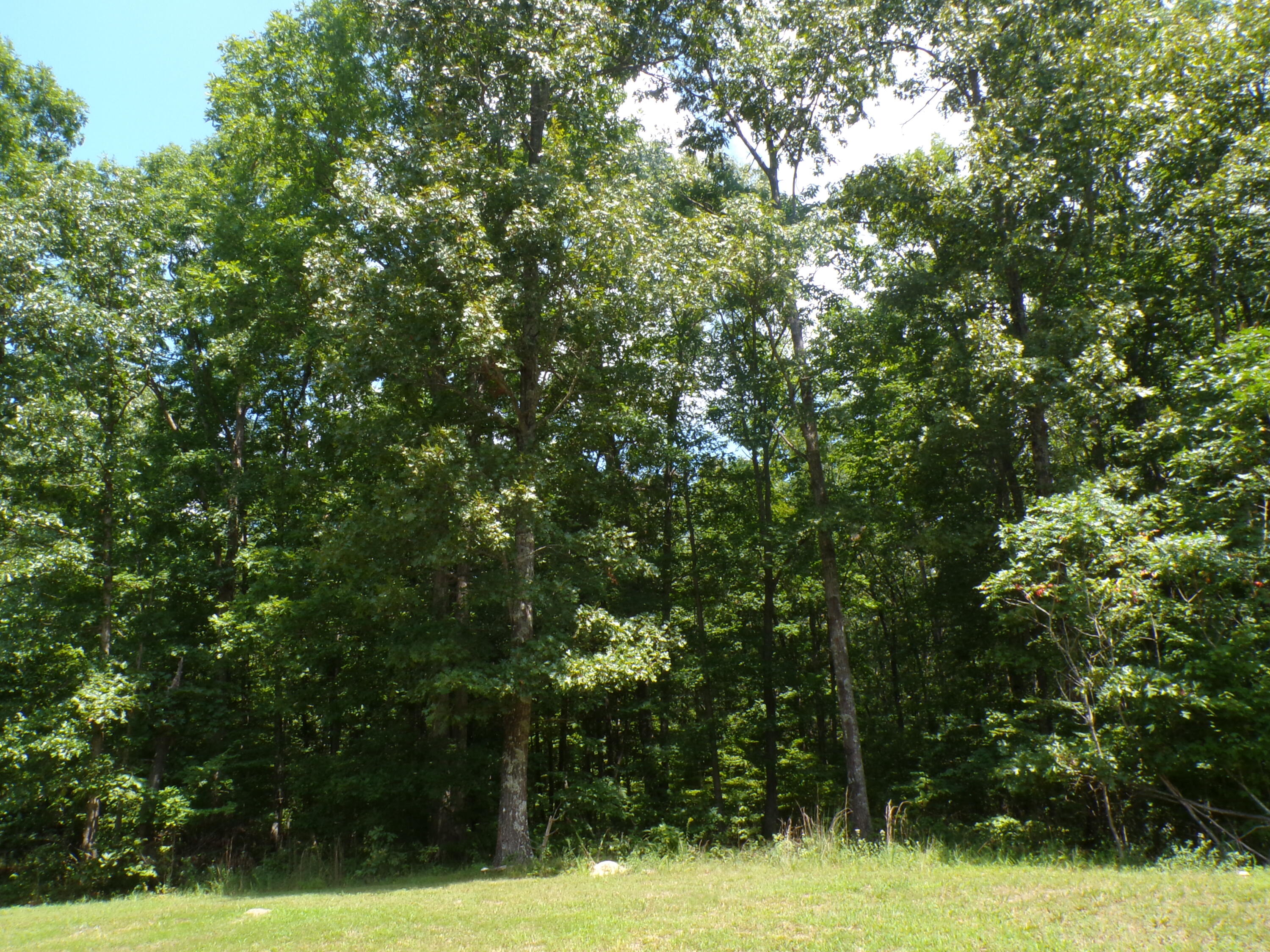 103 Shale Street #51, Spencer, Tennessee image 4