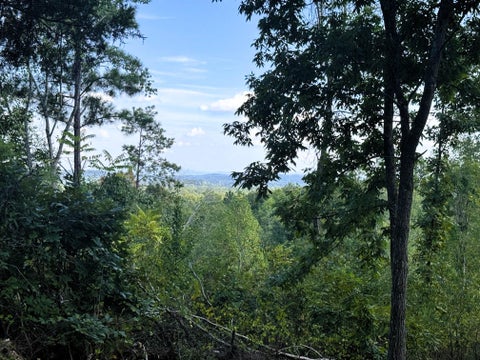 Photo of 47 Acres Charles Road, Decatur, TN 37322 (MLS # 1545120)