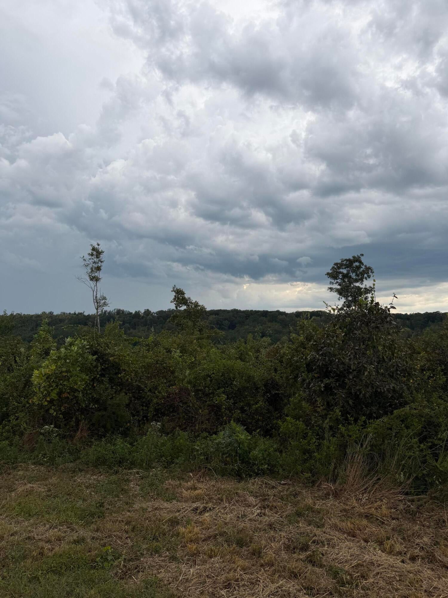 Lot 1 Bethel Road Lot 1