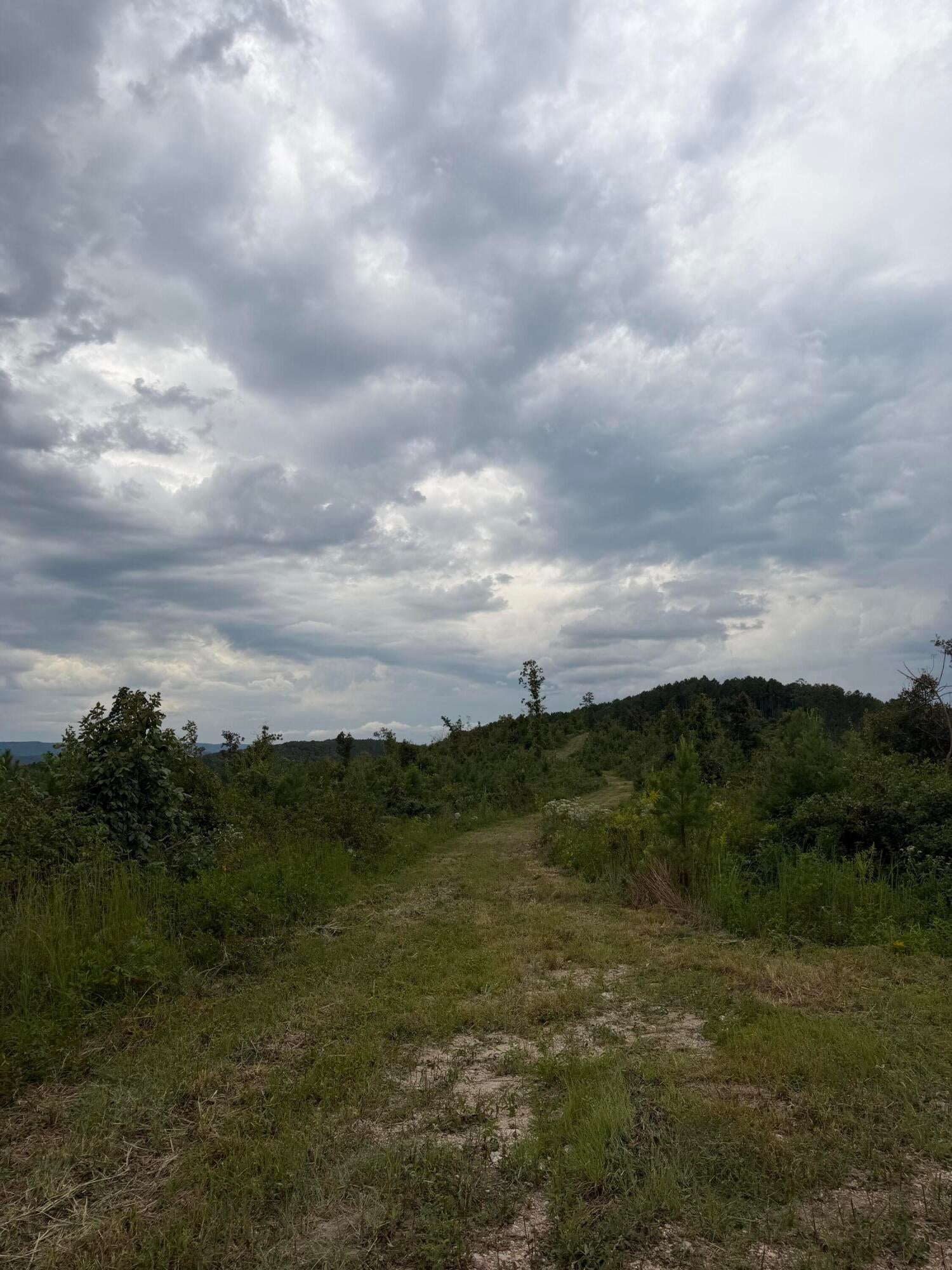 Lot 1 Bethel Road Lot 1