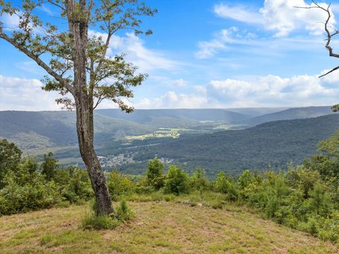 Photo of 0 Bobcat Trail, Jasper, TN 37347 (MLS # 1518350)