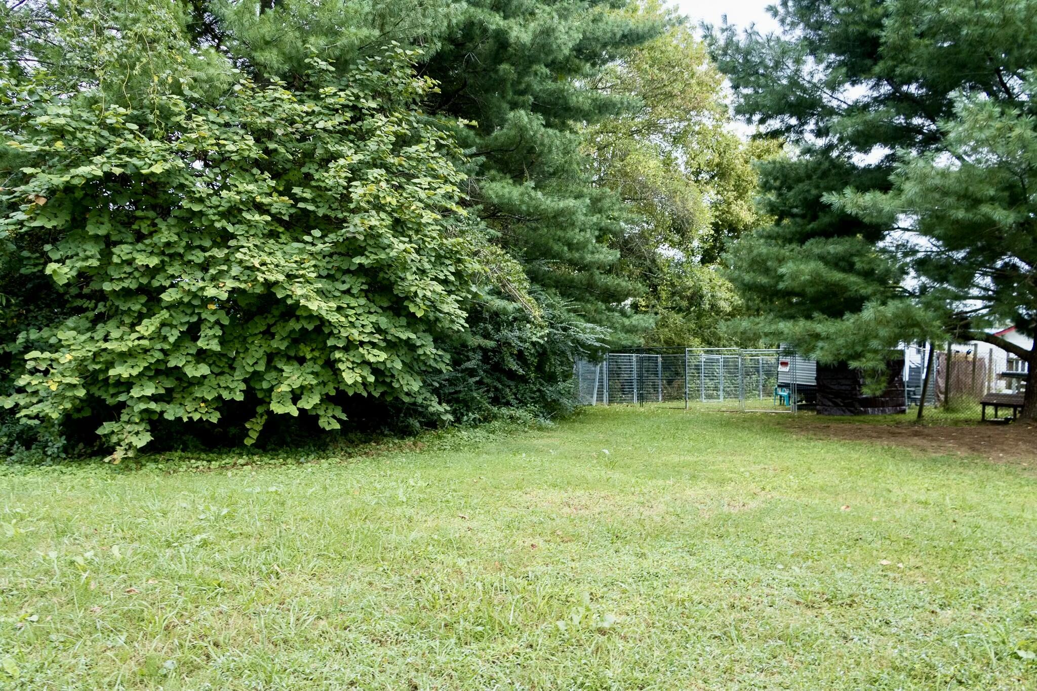 5440 Harpo Street, Cleveland, Tennessee image 18