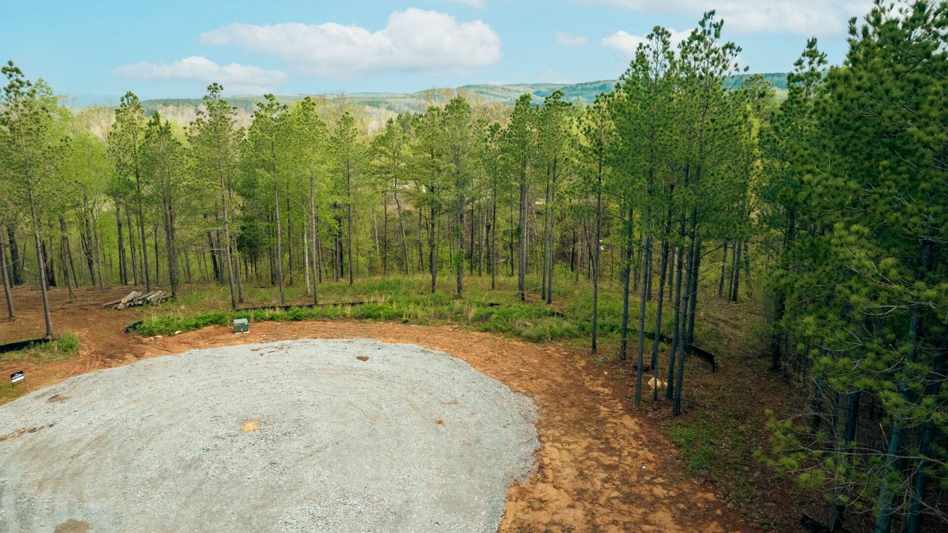 1147 Topo Drive, Guild, Tennessee image 5