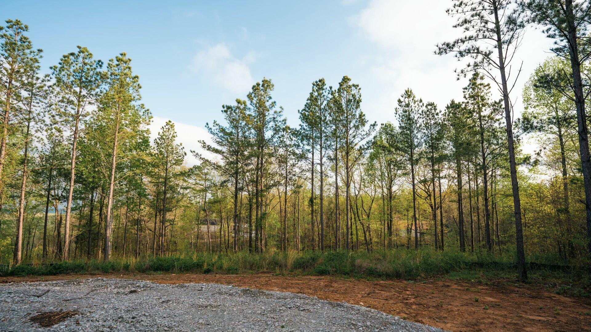 1147 Topo Drive, Guild, Tennessee image 8