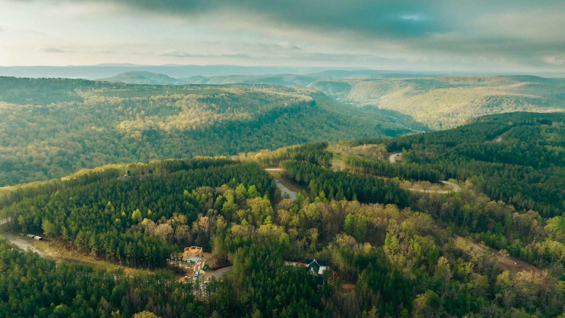 1147 Topo Drive, Guild, Tennessee image 11