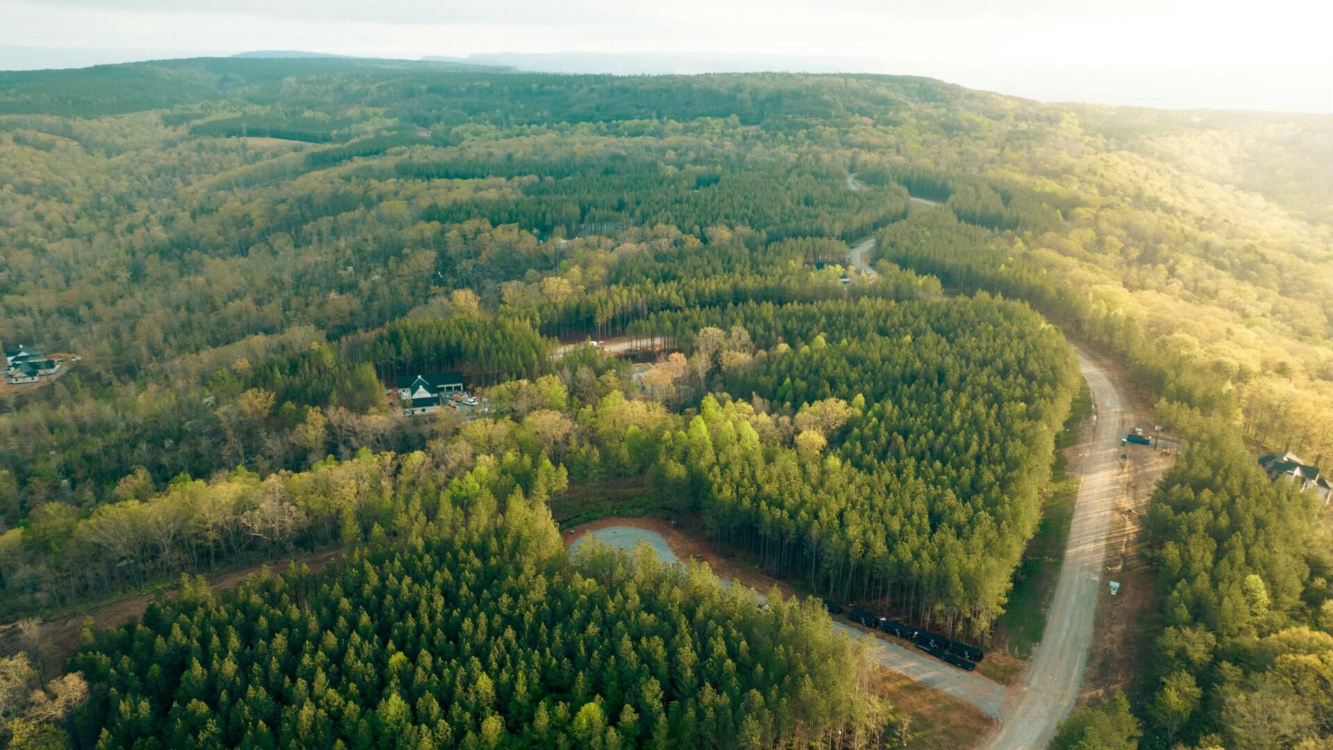1147 Topo Drive, Guild, Tennessee image 7