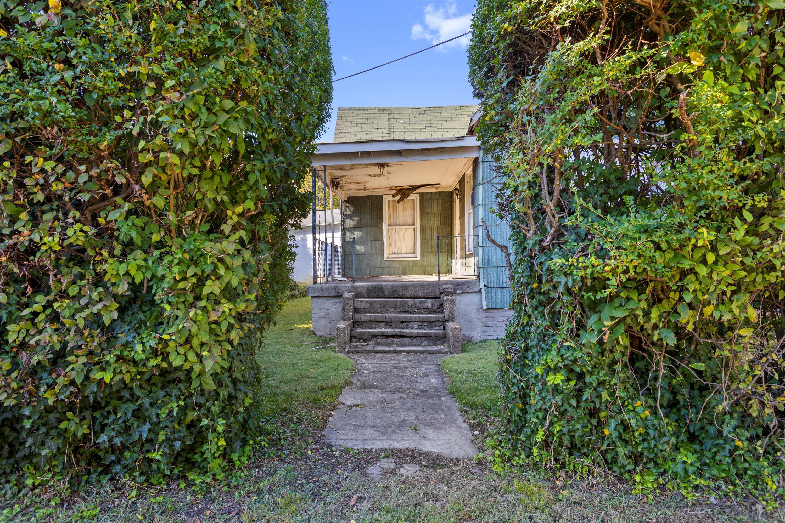 203 Tremont Street, Chattanooga, Tennessee image 45