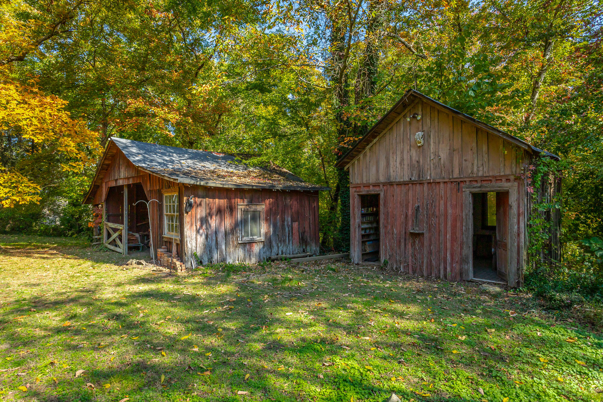 4300 Ivory Avenue, Signal Mountain, Tennessee image 12