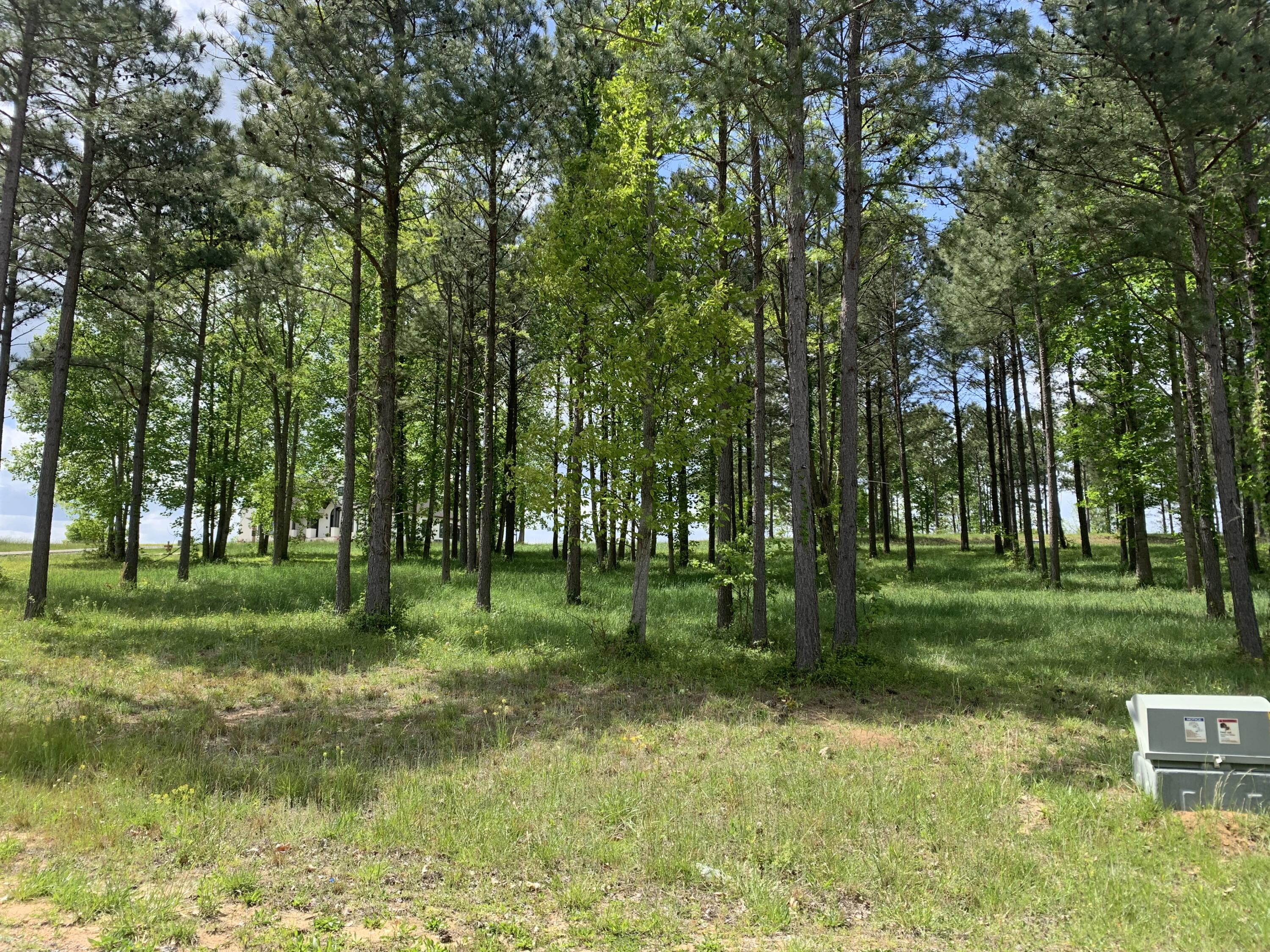 1130 Sunset Circle #SV-126, Jasper, Tennessee image 12
