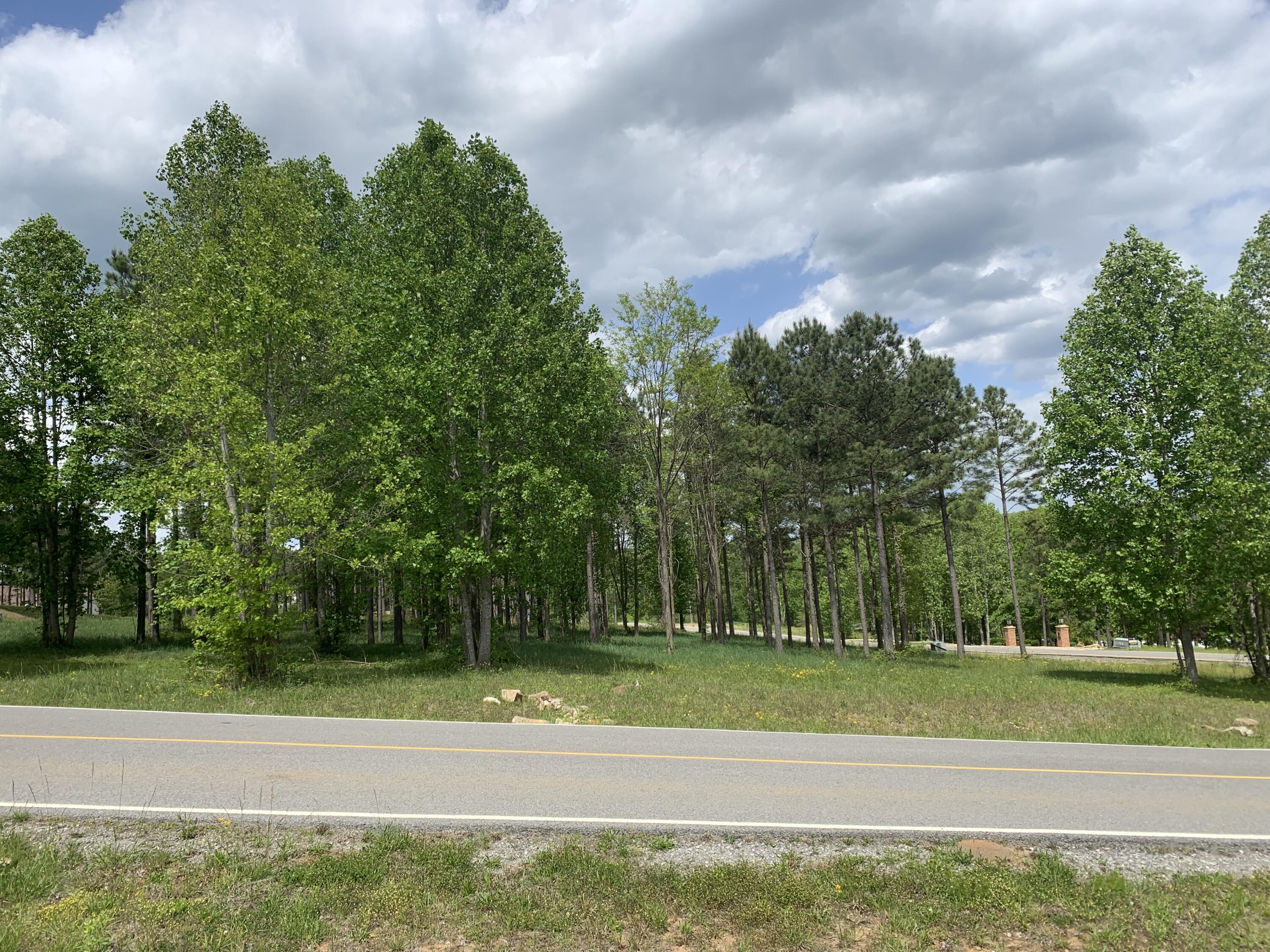 1130 Sunset Circle #SV-126, Jasper, Tennessee image 8