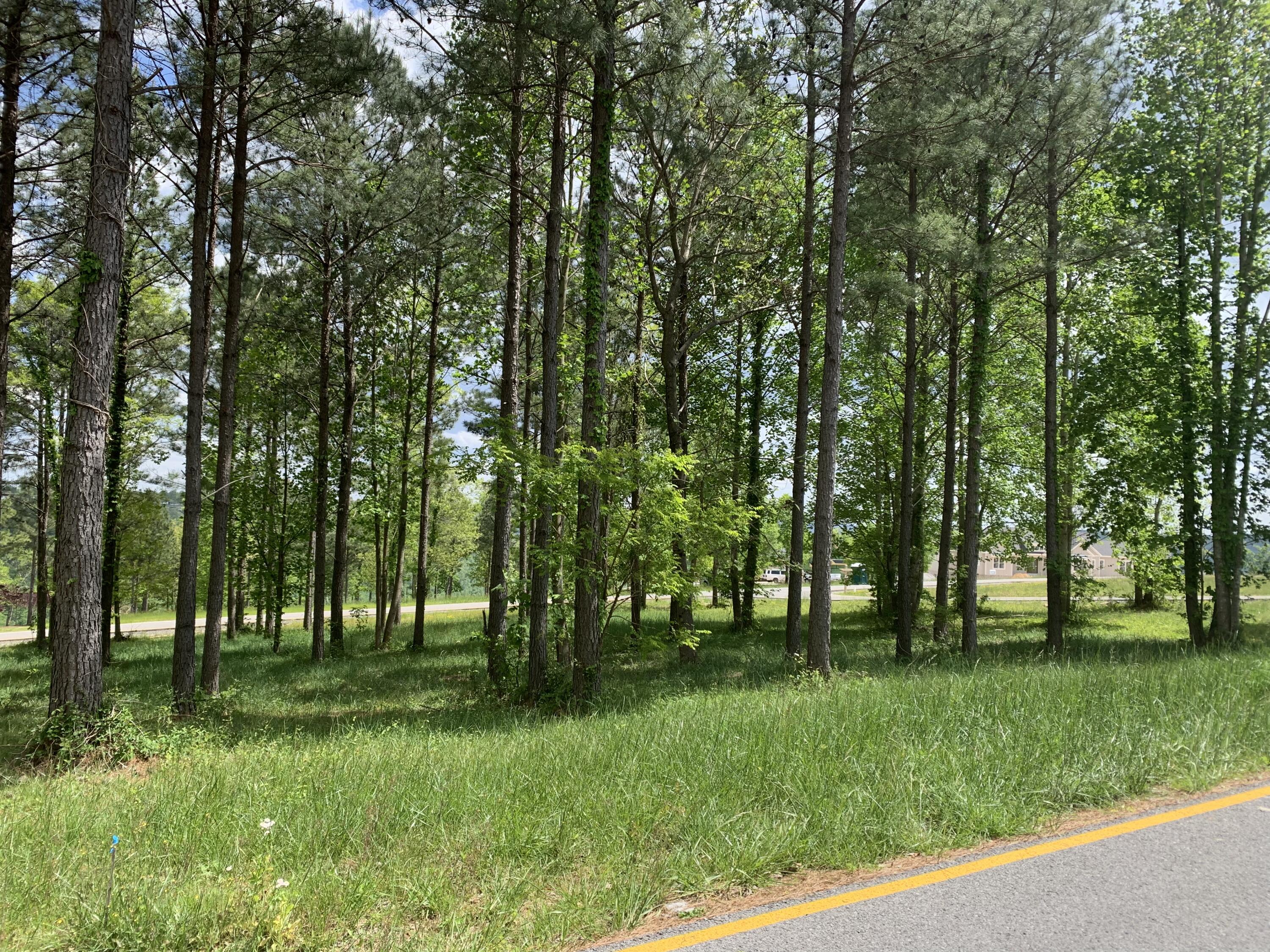 1130 Sunset Circle #SV-126, Jasper, Tennessee image 10