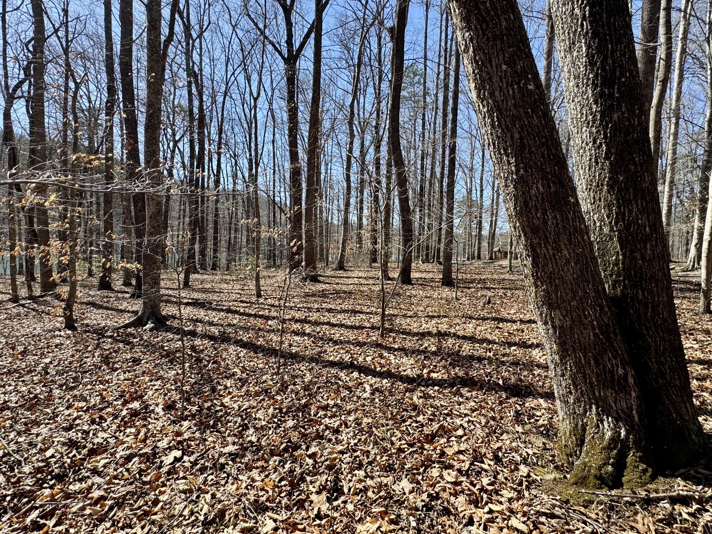 0 Beech Grove Lot 10