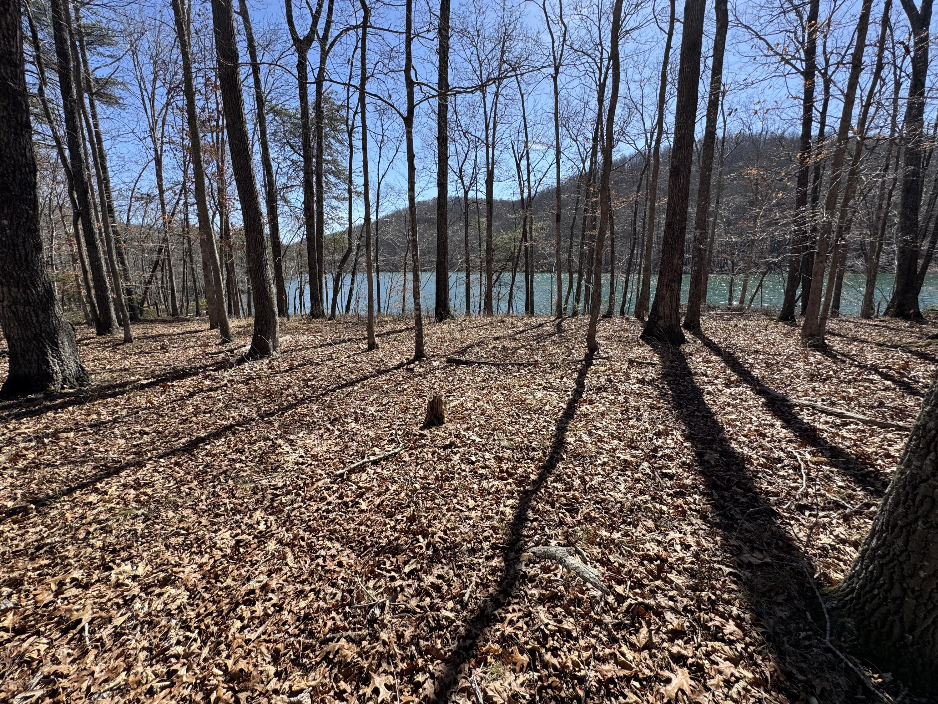 0 Beech Grove Lot 10