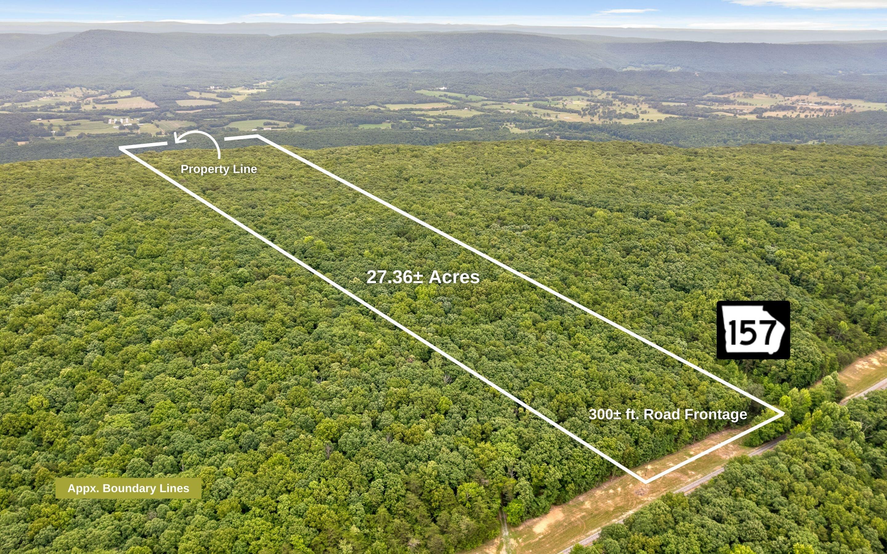 27 Acres Highway 157, Menlo, Georgia image 2